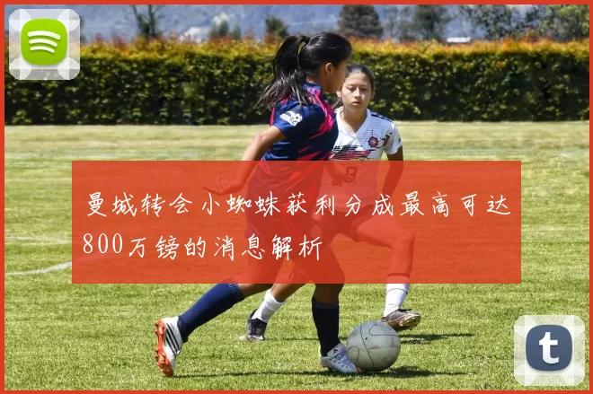 曼城转会小蜘蛛获利分成最高可达800万镑的消息解析